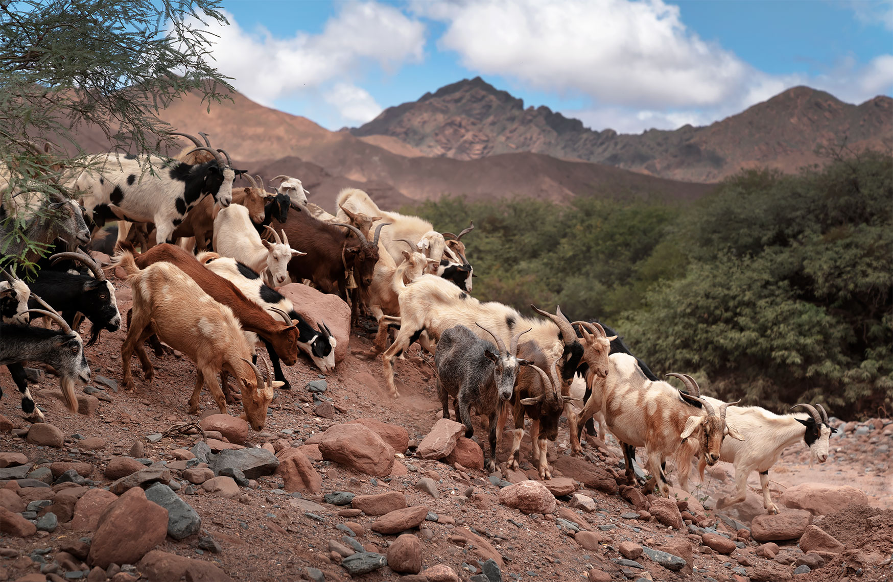 argentina_scenic_2019_3_web
