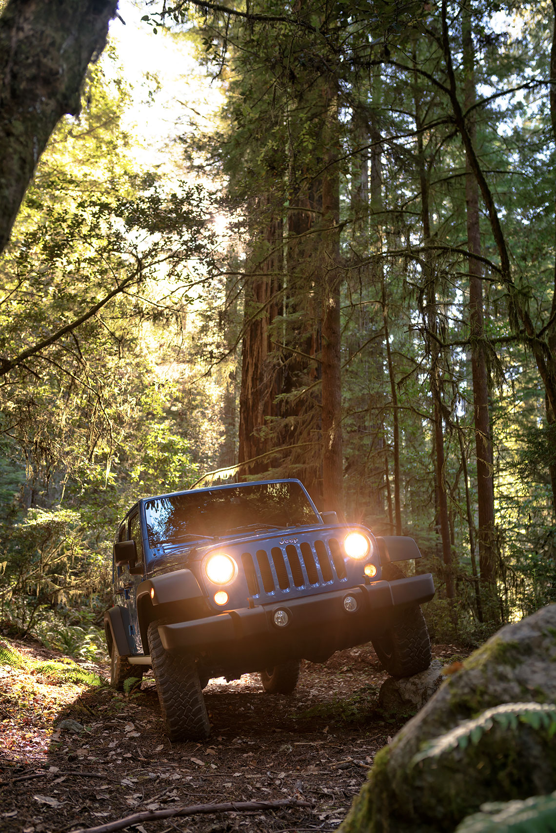 jeep_wrangler_red_woods